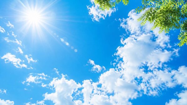 【夏の冷房で身体がだるい…その原因は「巡りの低下」かもしれません】